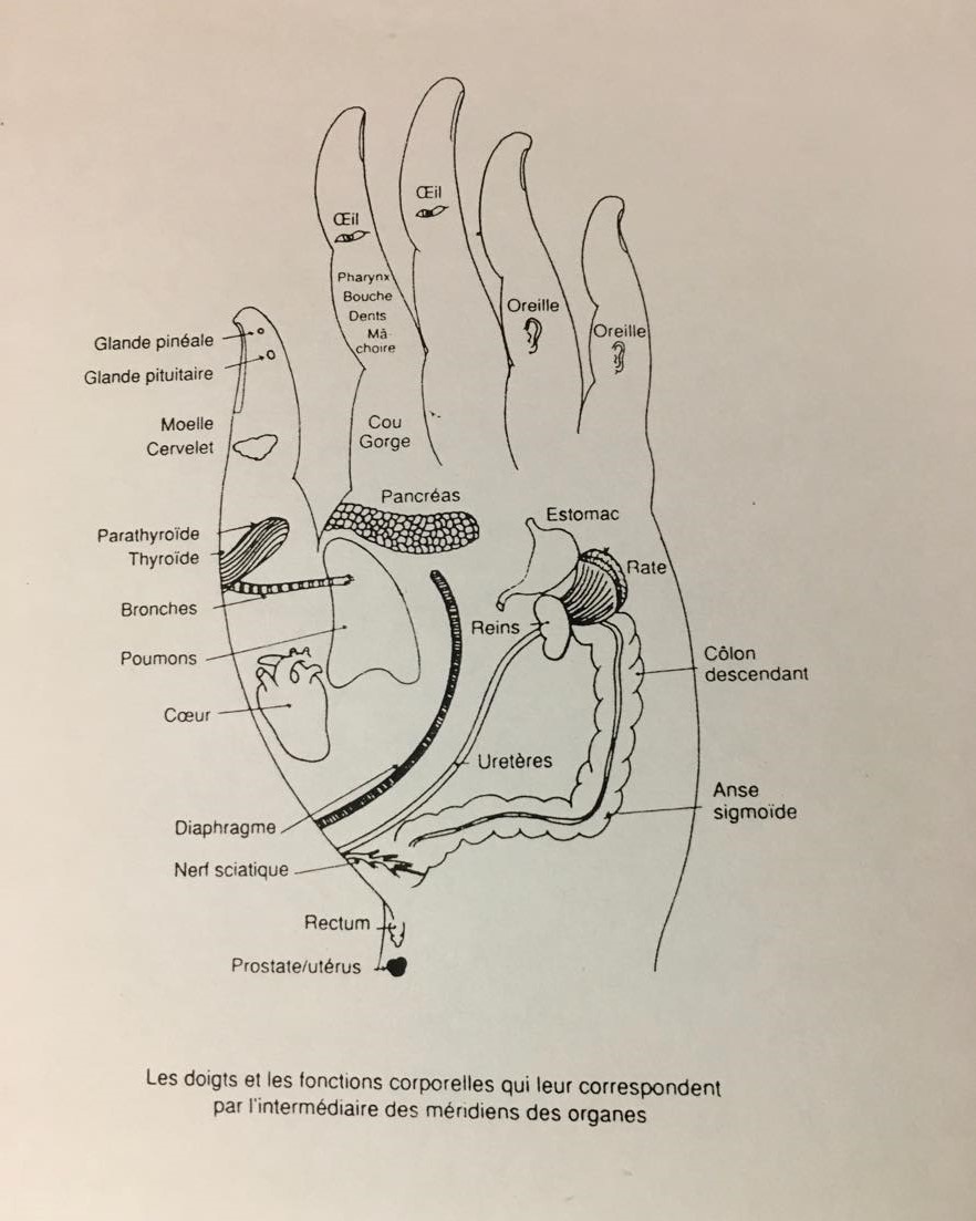 Lire la suite à propos de l’article La manupuncture coréenne