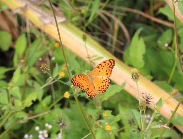 Lire la suite à propos de l’article Cas 8 – Jean Luc et la méthode TIPI